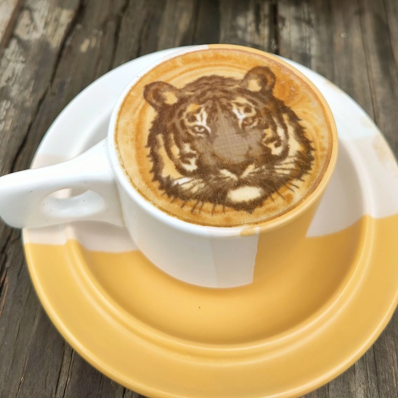 Yeni Trend Ticari Restoran ve  - Coffee Equipment And Supplies incelemesi ve fiyatı
